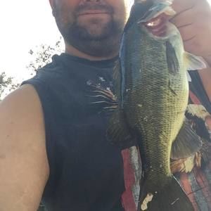 Meet your Posher, Travis